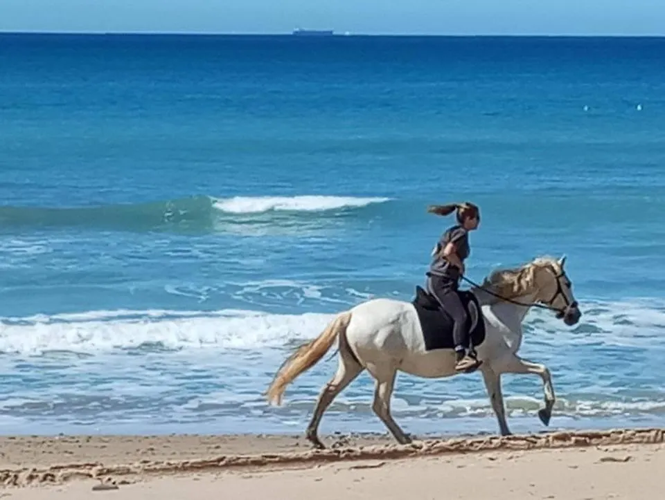 La Aldea Lägenhet Manilva 0*,  Spanien